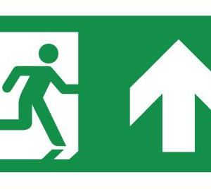 Bord vluchtweg omhoog (R) - 150 x 300mm
